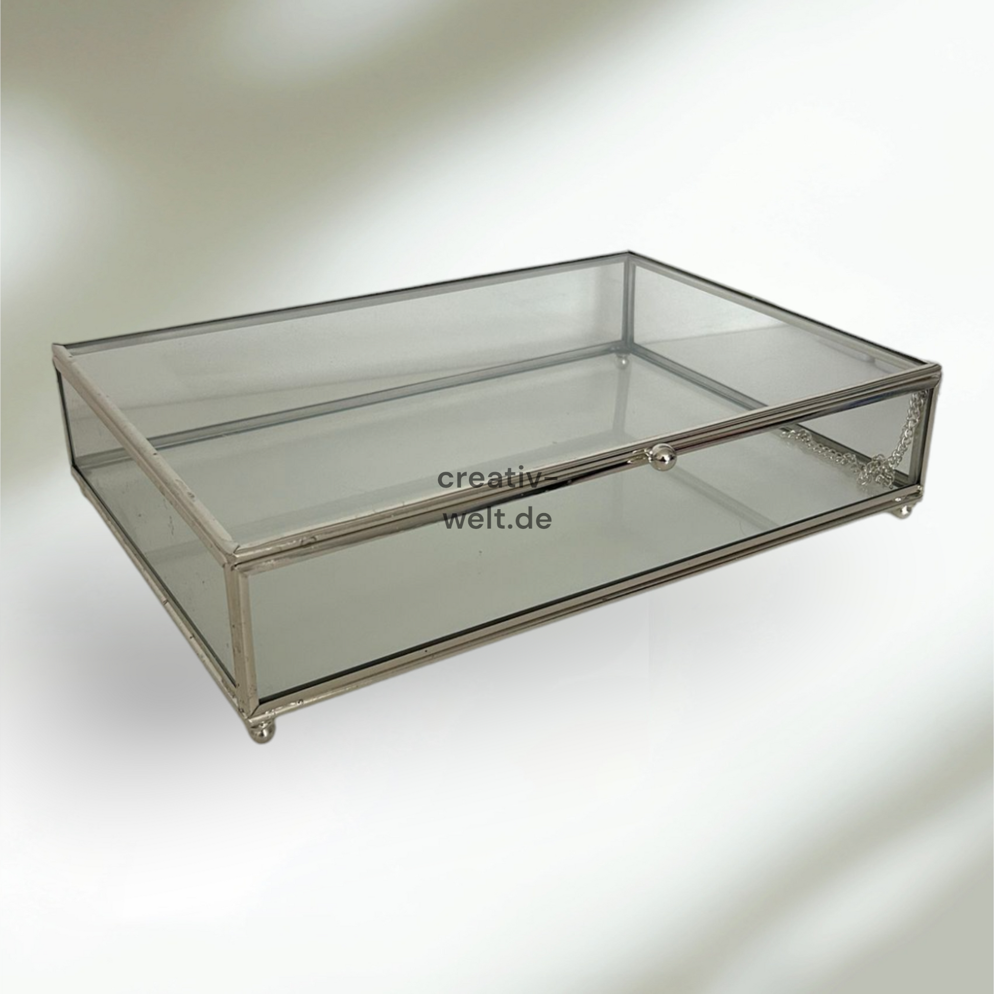 glasbox aufbewahrung Glasbox 25x35cm in Silber
