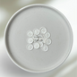 Wachssiegel mit Zweig Muster WHITE