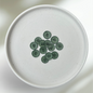 Wachssiegel mit Zweig Muster DARKGREEN